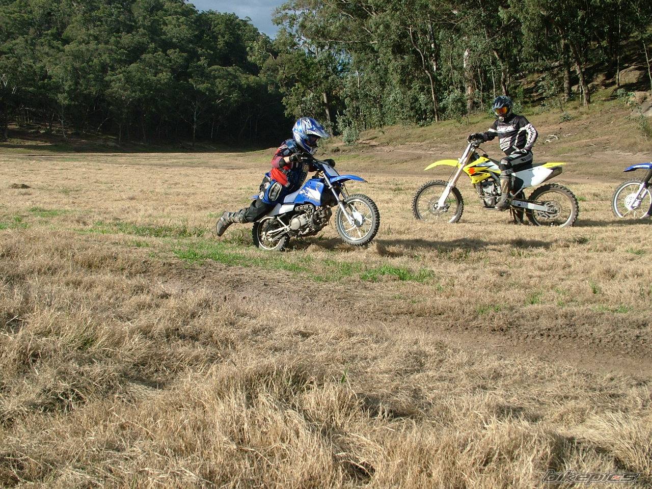 Photo 402071