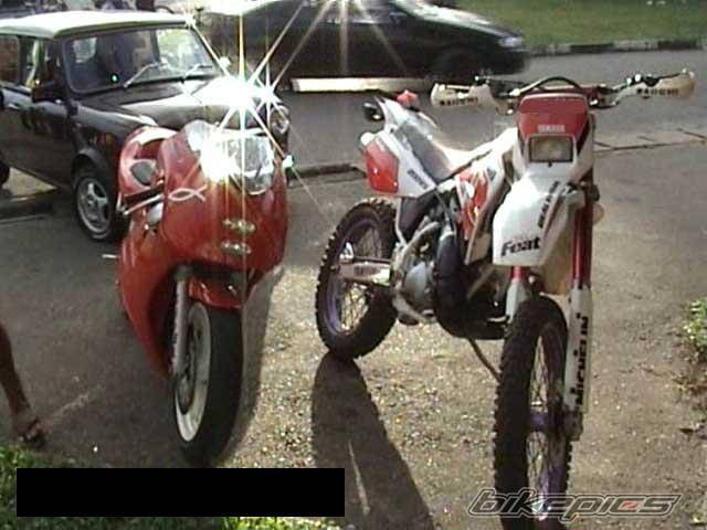 Bike Photo 402131