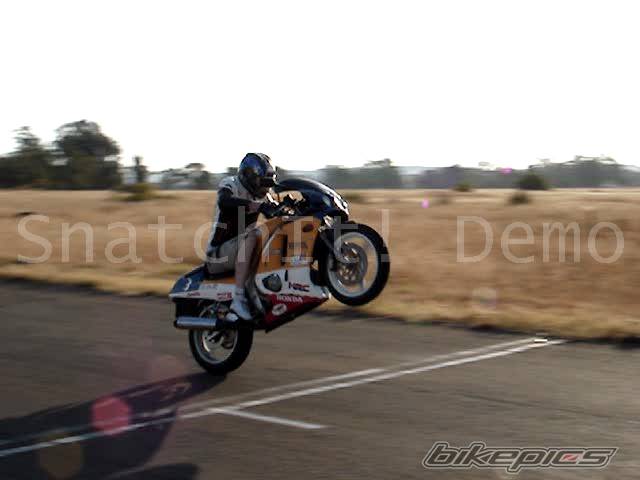 Photo 402140