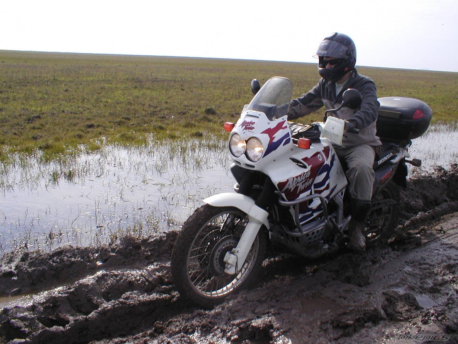 Photo 402214