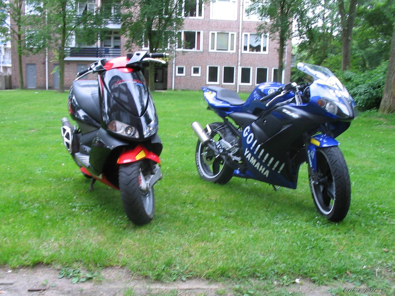 Photo 402227