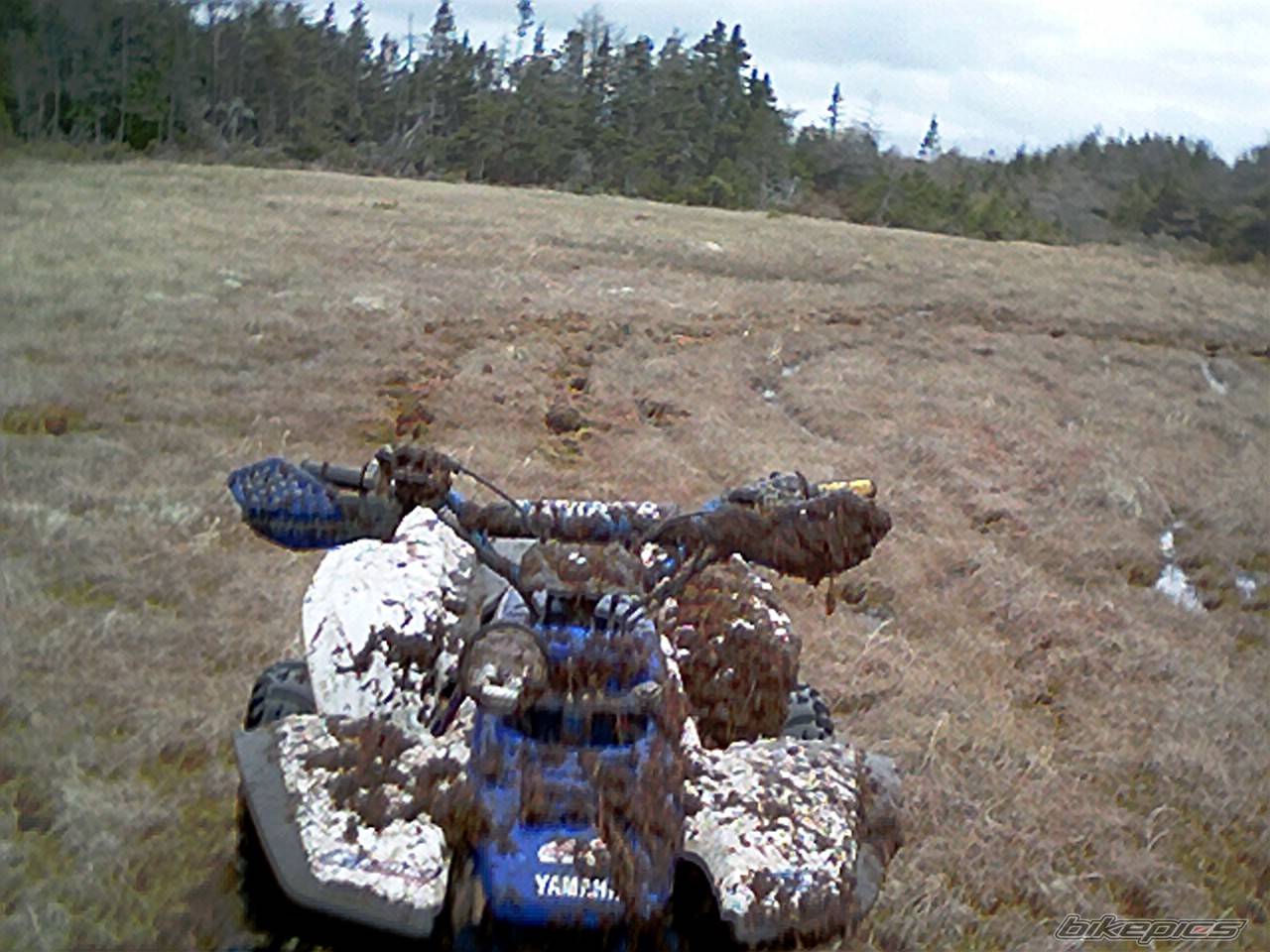 Photo 402235