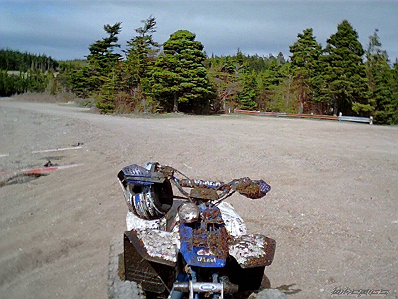 Photo 402236