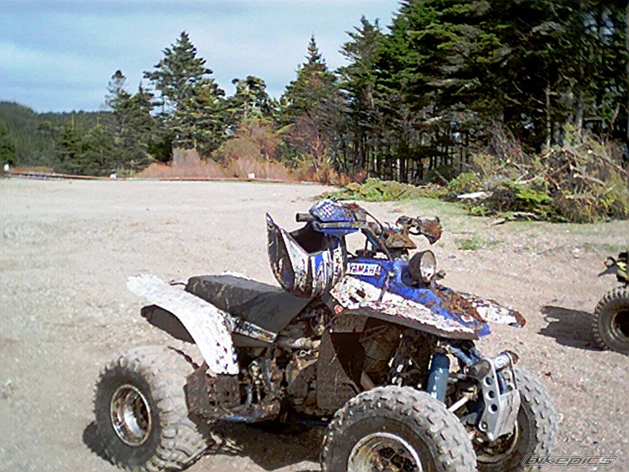 Photo 402237