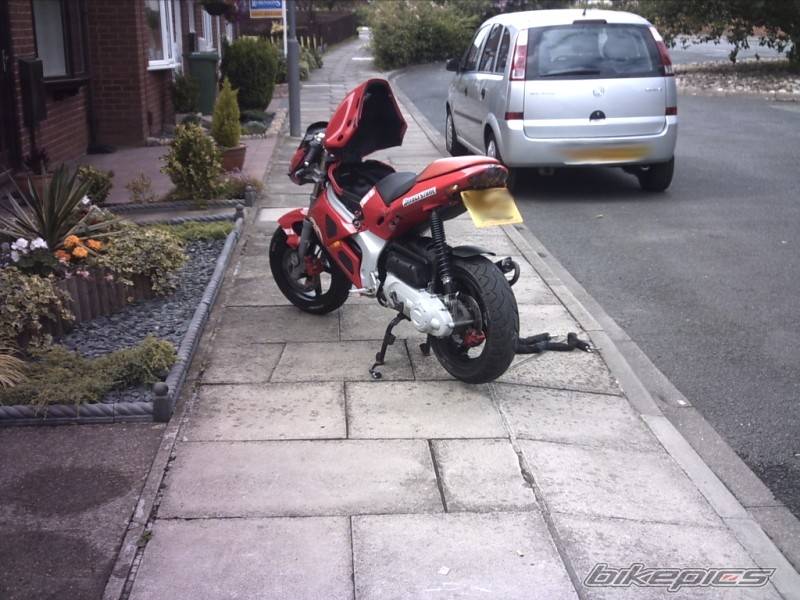 Photo 402282