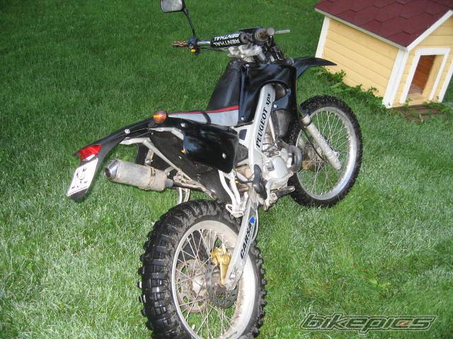 Photo 402295