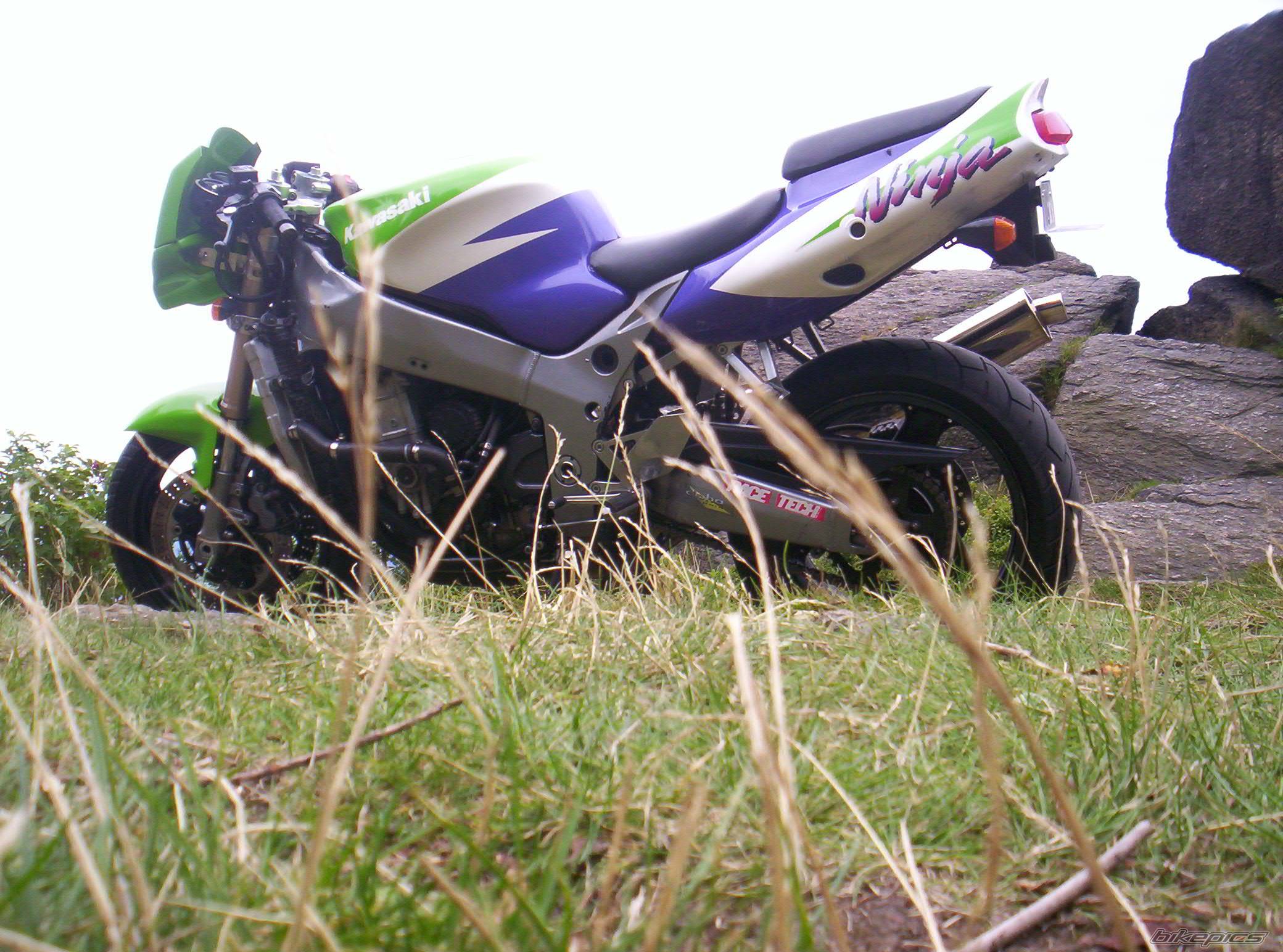 Photo 402416