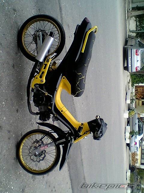 Photo 402449