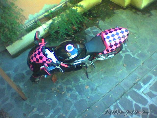 Photo 402493