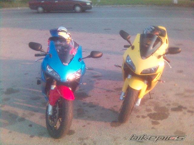 Photo 402667