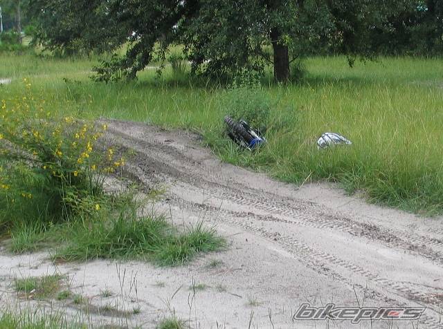 Photo 402696