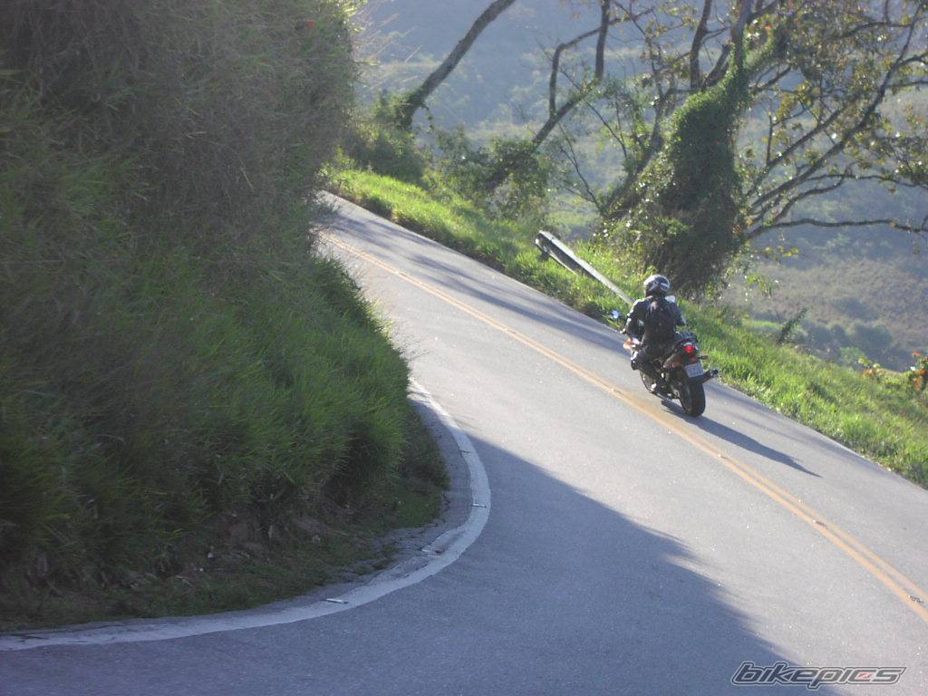 Photo 402788