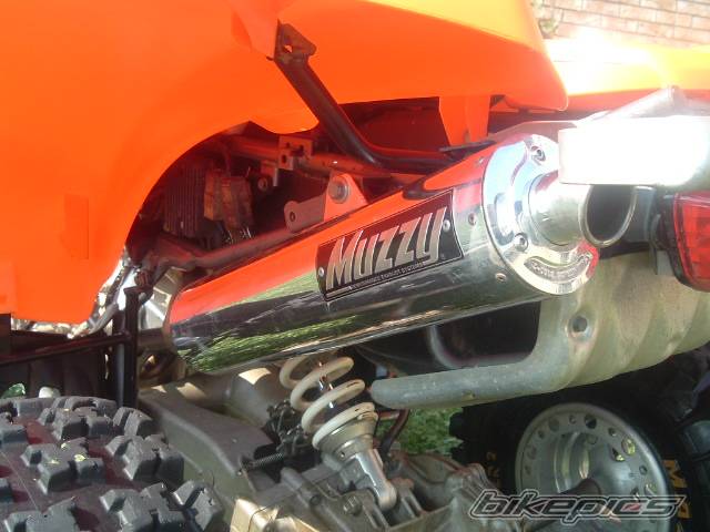 Photo 402807