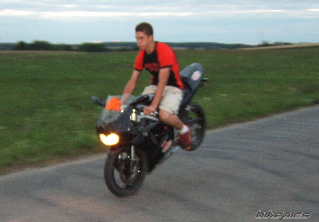Photo 402960