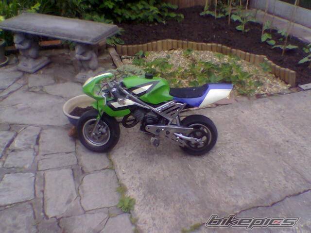 Photo 402962