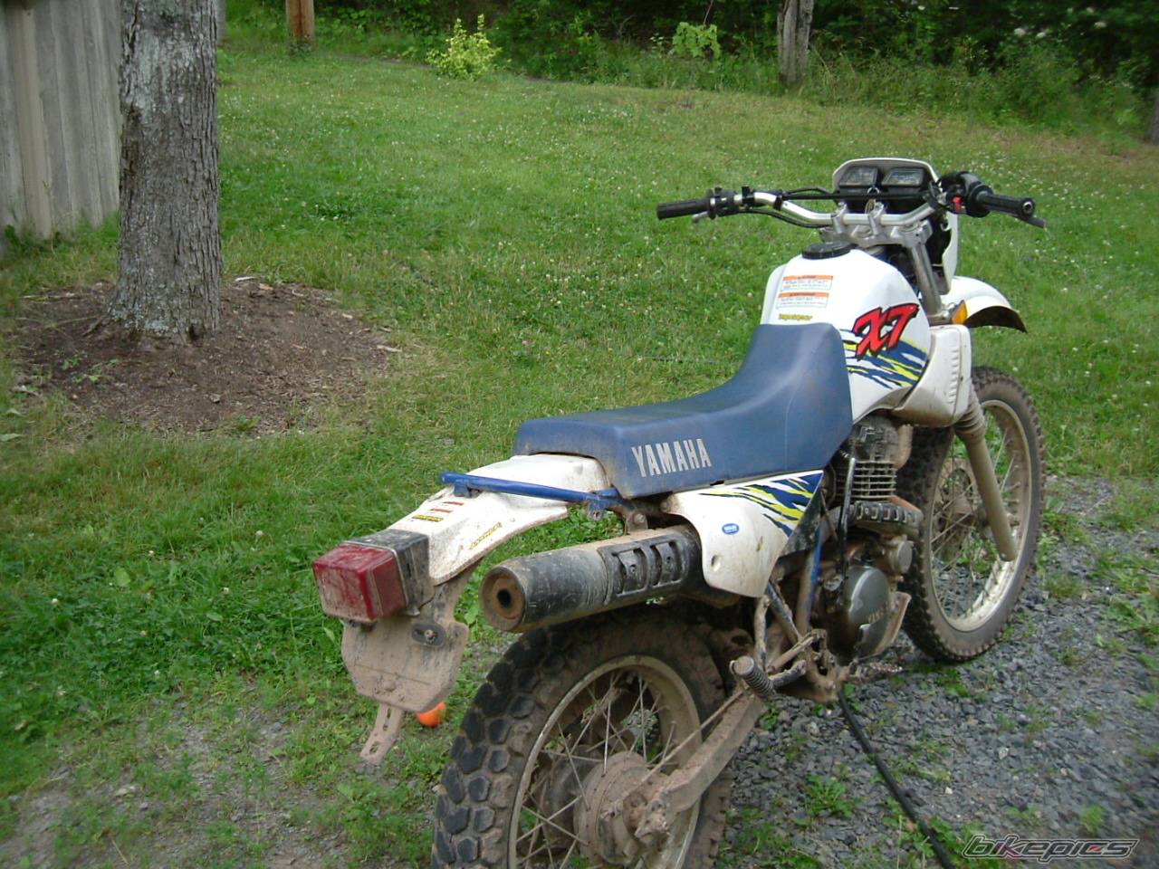 Photo 402971