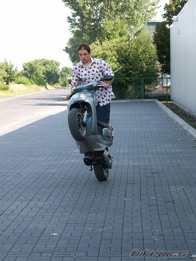 Photo 402975