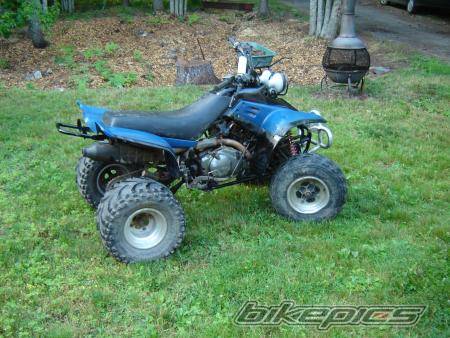 Photo 403001