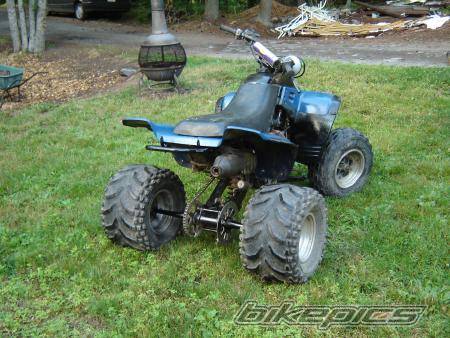 Photo 403006