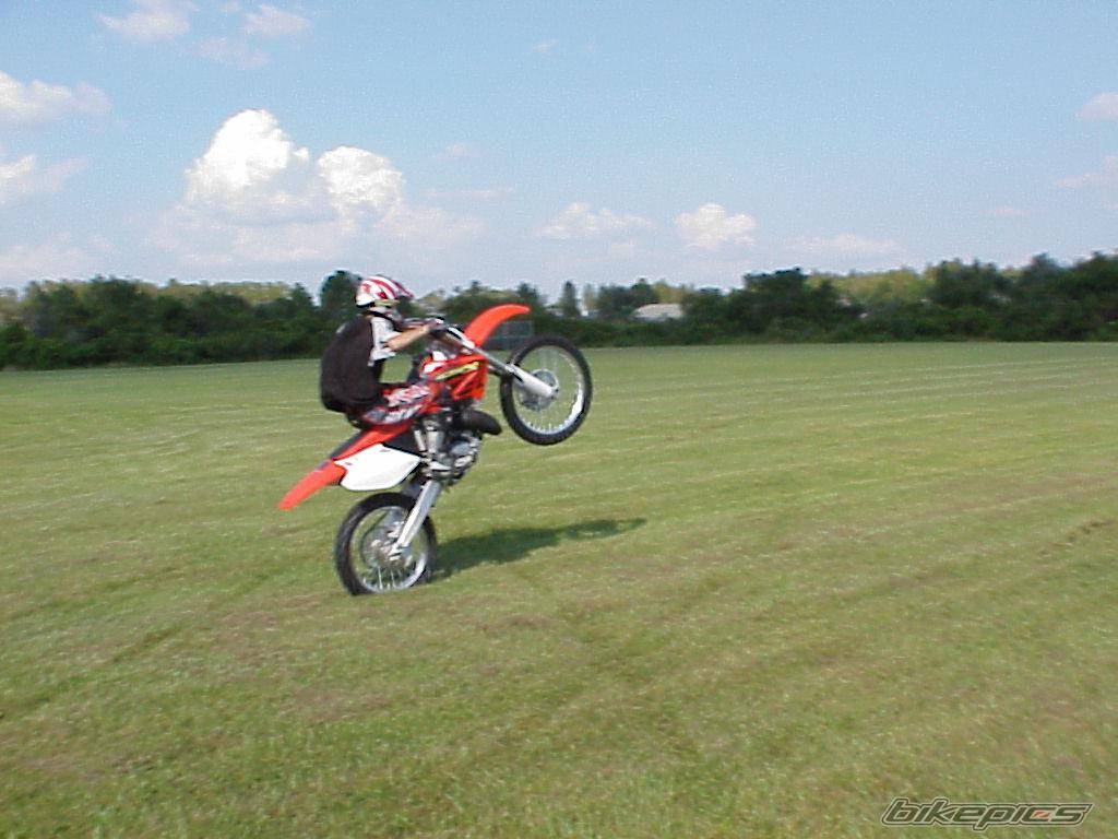 Photo 40312