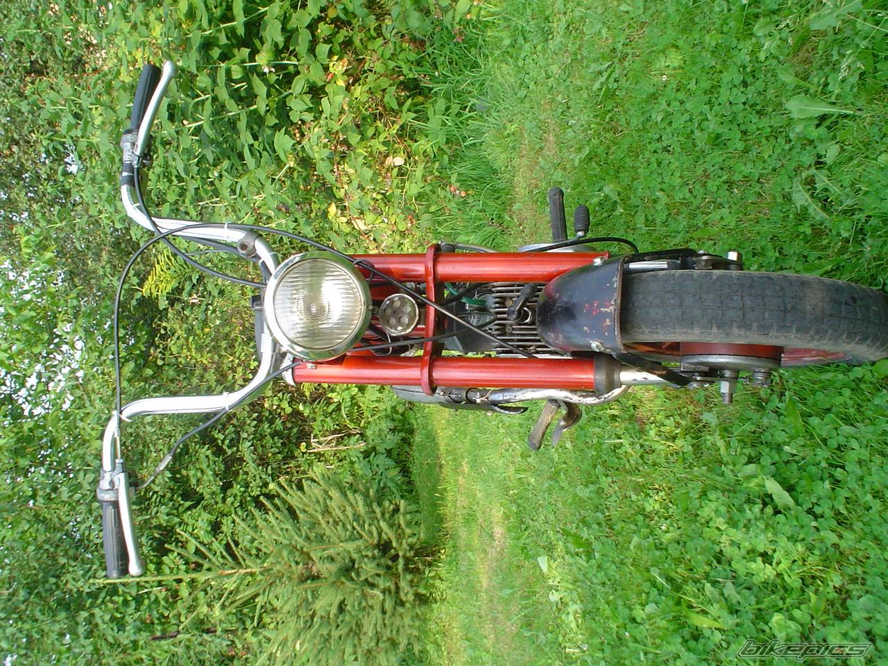 Photo 403231