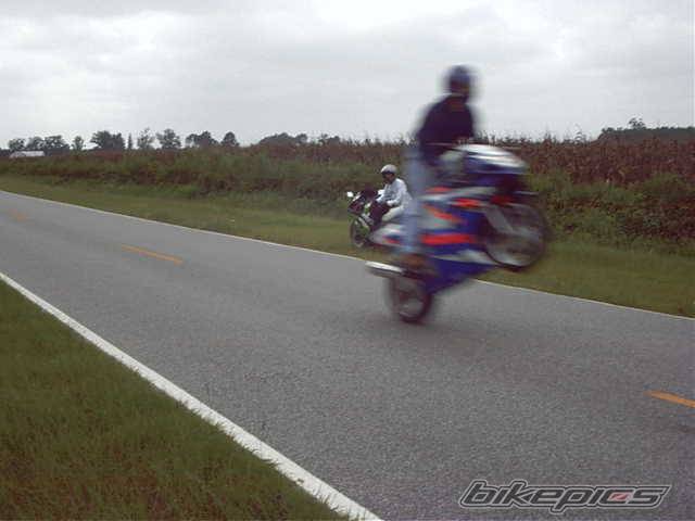 Photo 40325