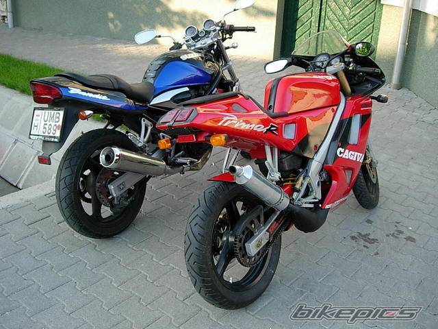 Photo 403403