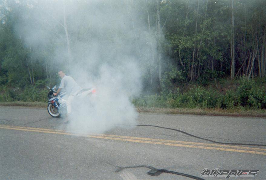 Photo 40342