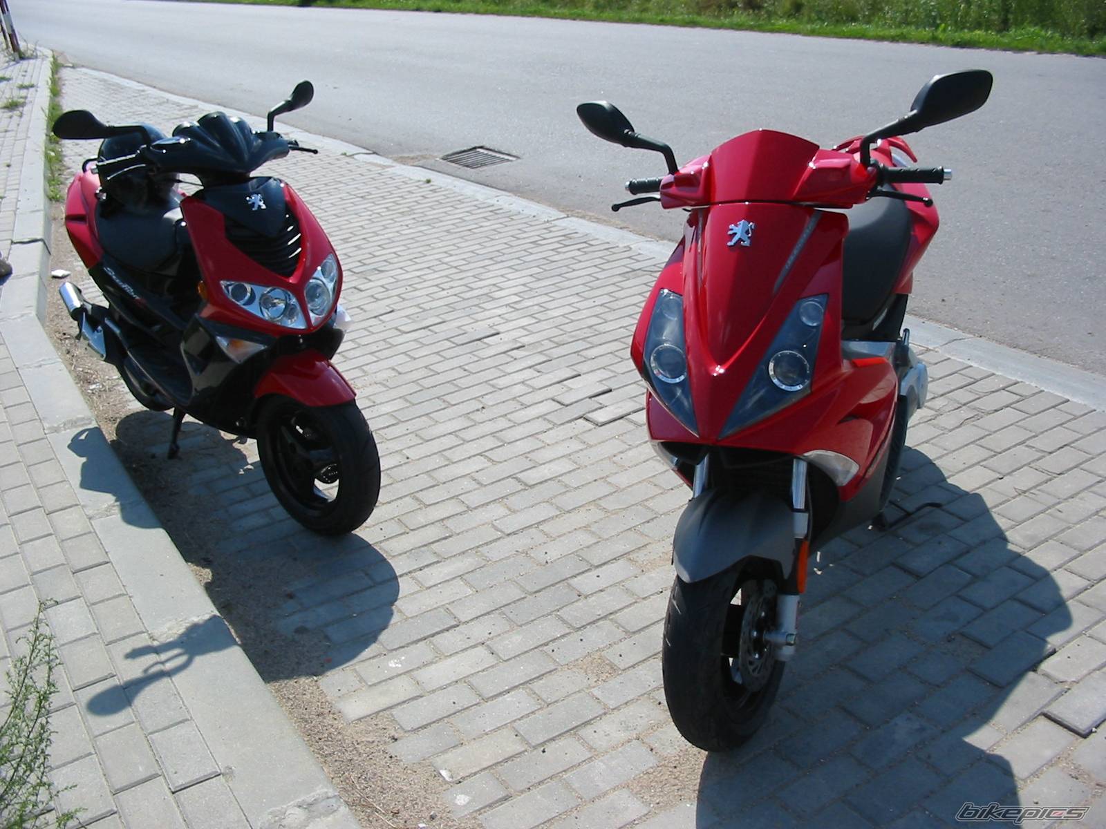 Photo 403423