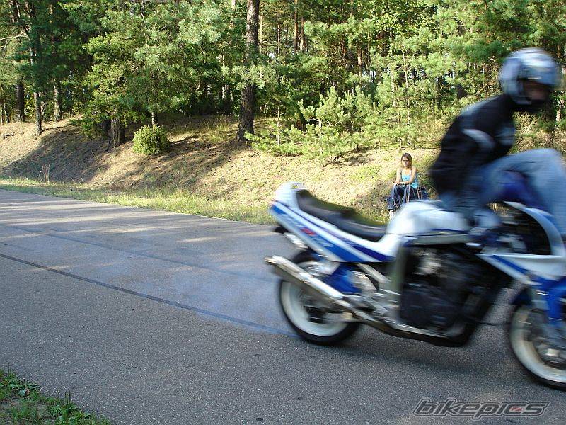 Photo 403695