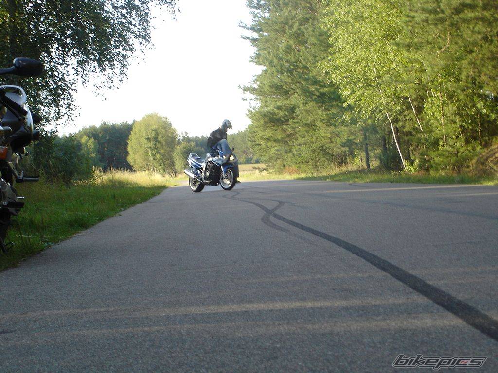 Photo 403697