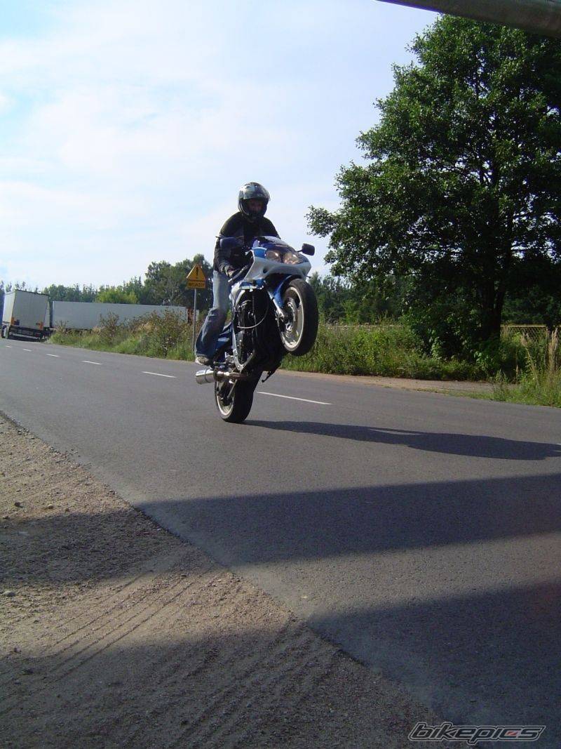 Photo 403701
