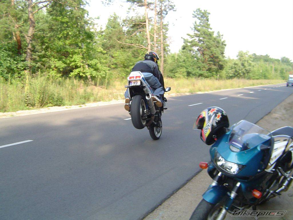 Photo 403702