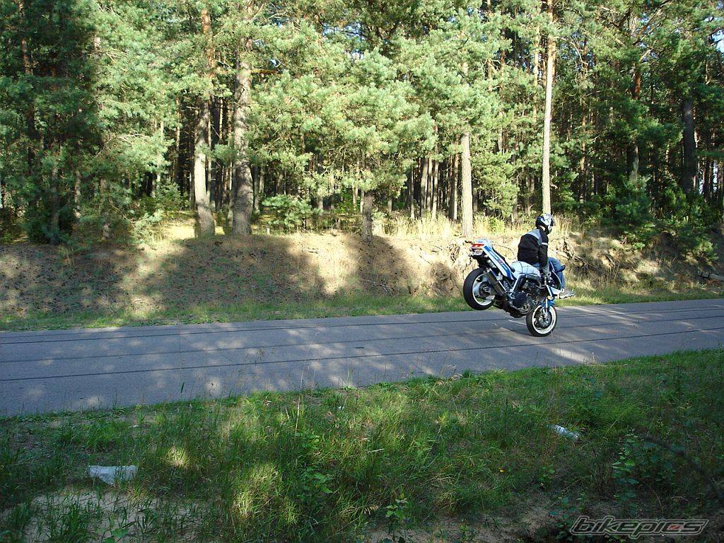 Photo 403707