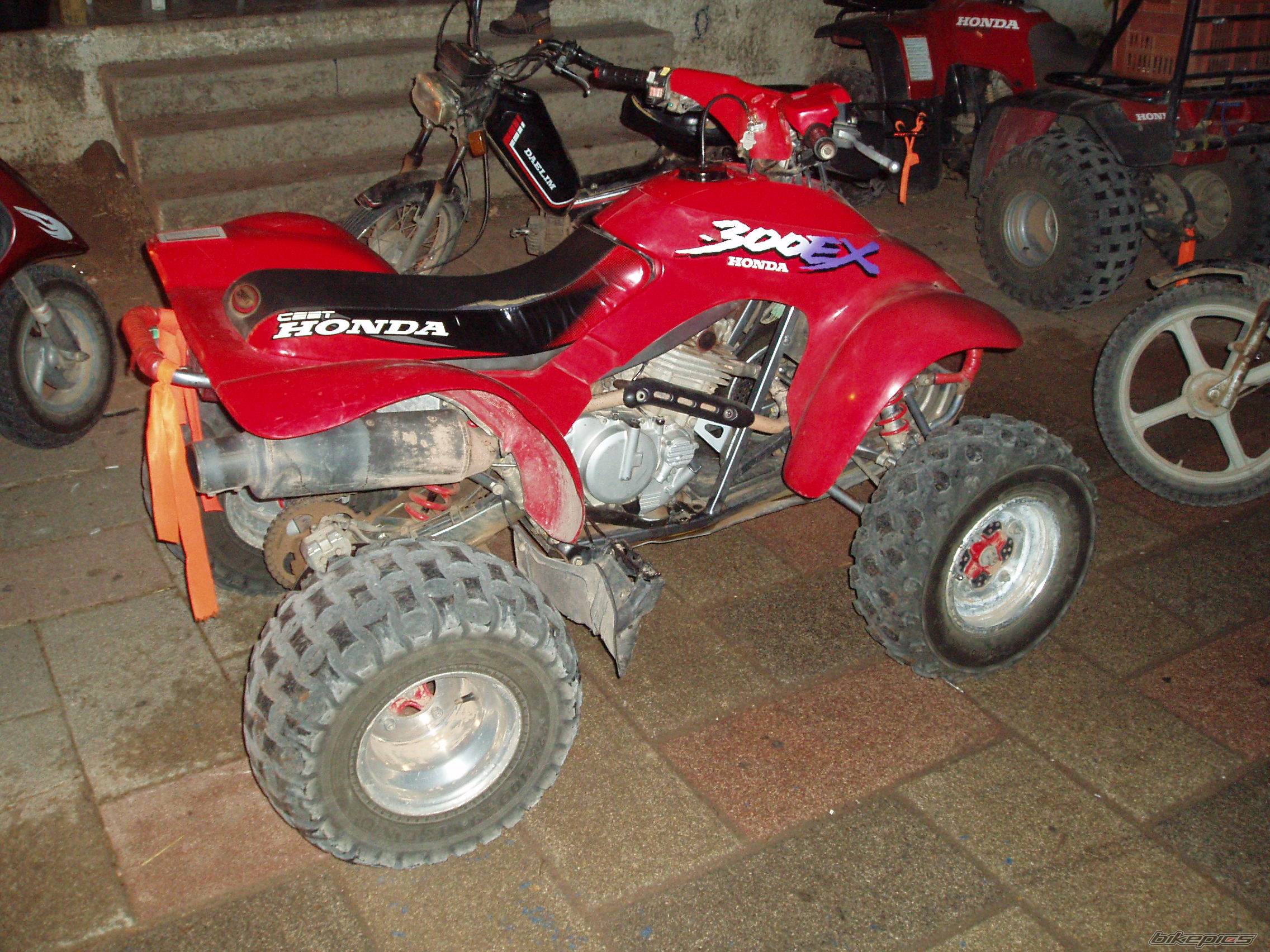 Photo 403722