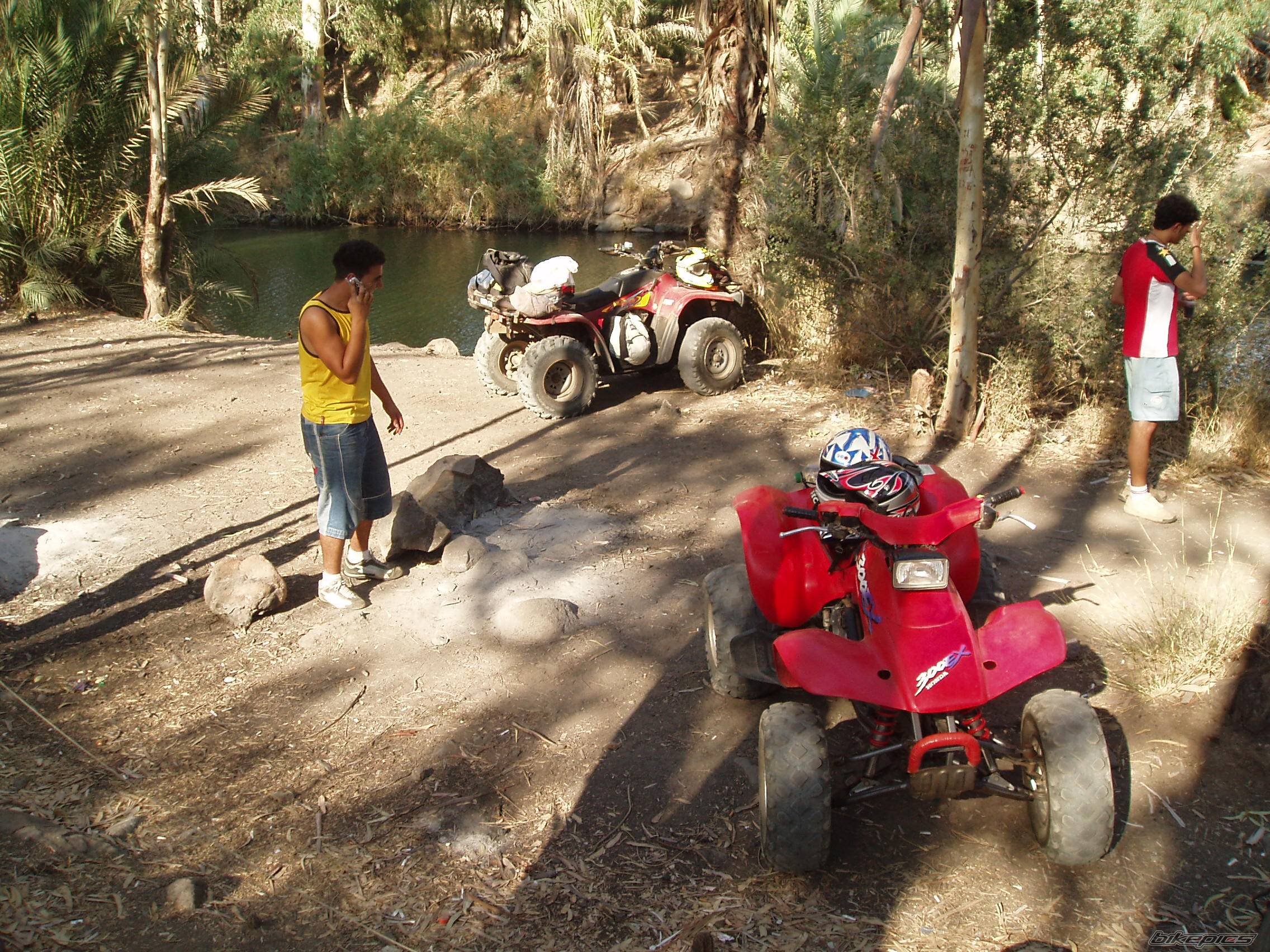 Photo 403732