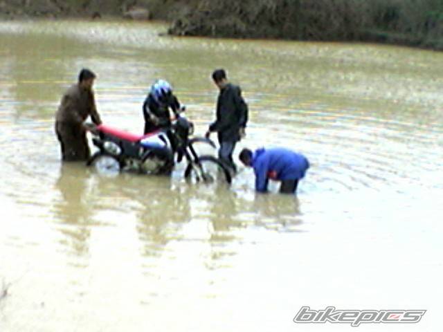 Bike Photo 403756