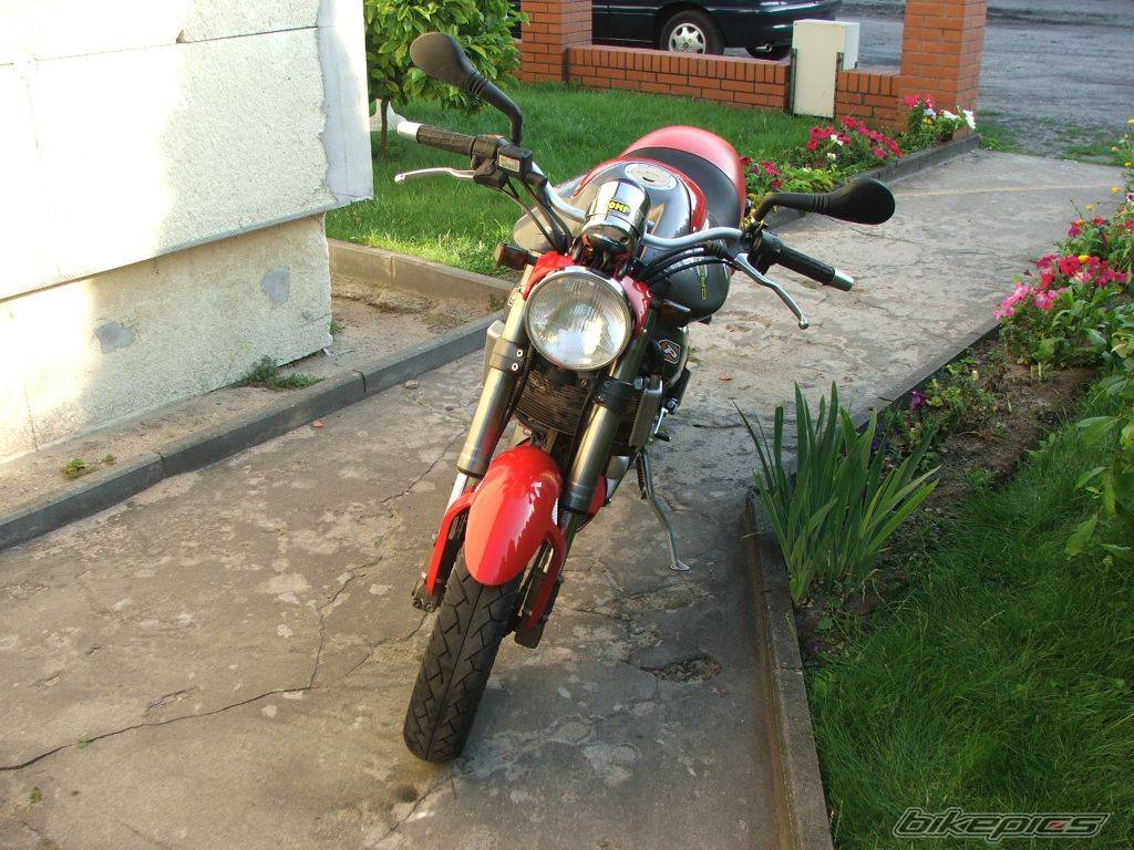Photo 403796