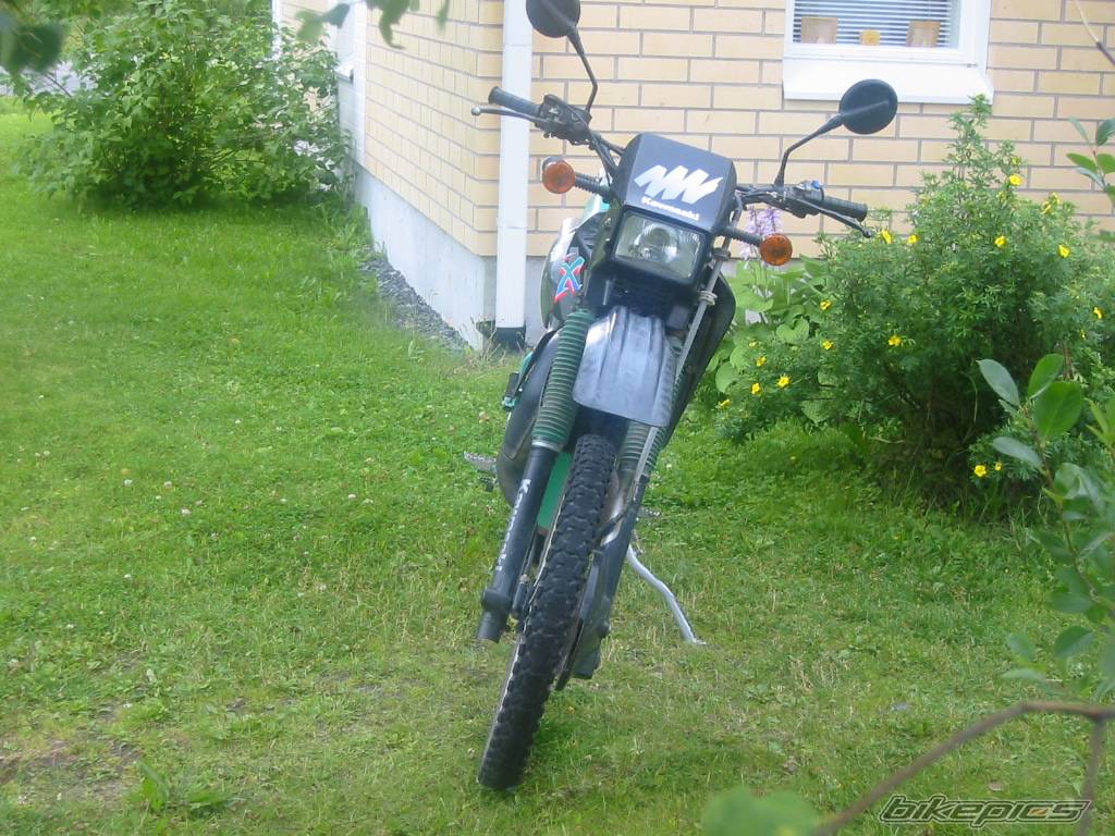 Photo 403853