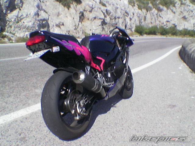 Photo 403921