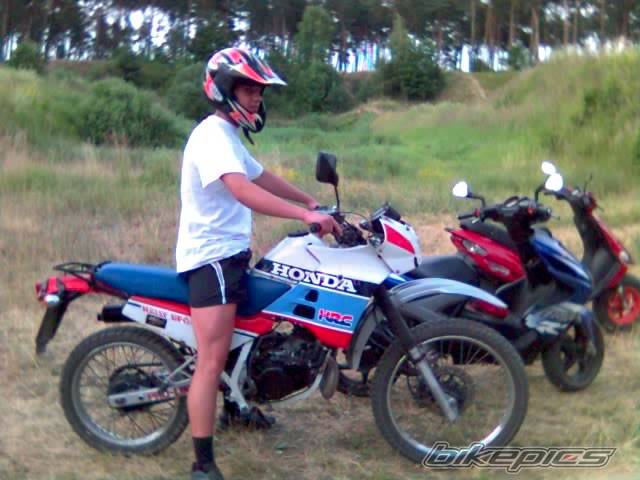 Photo 403925