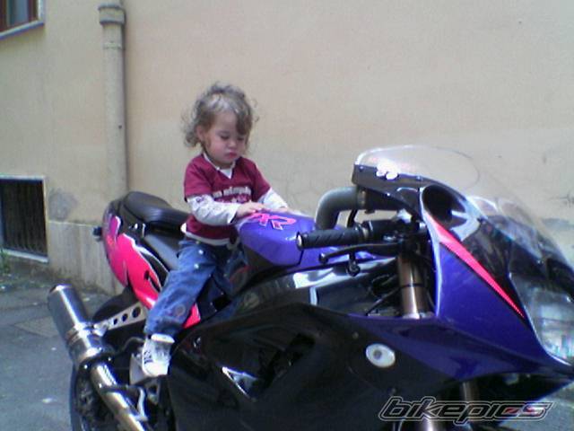 Photo 403941