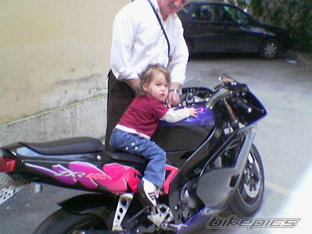 Photo 403942