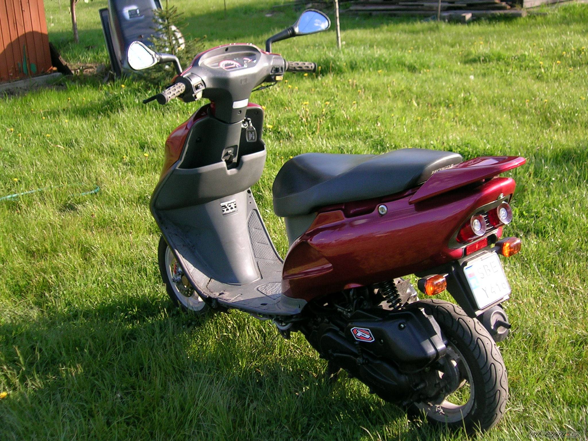 Photo 404253