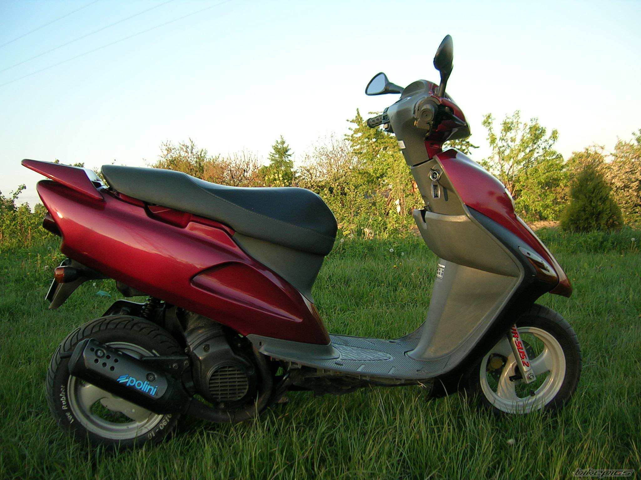 Photo 404262