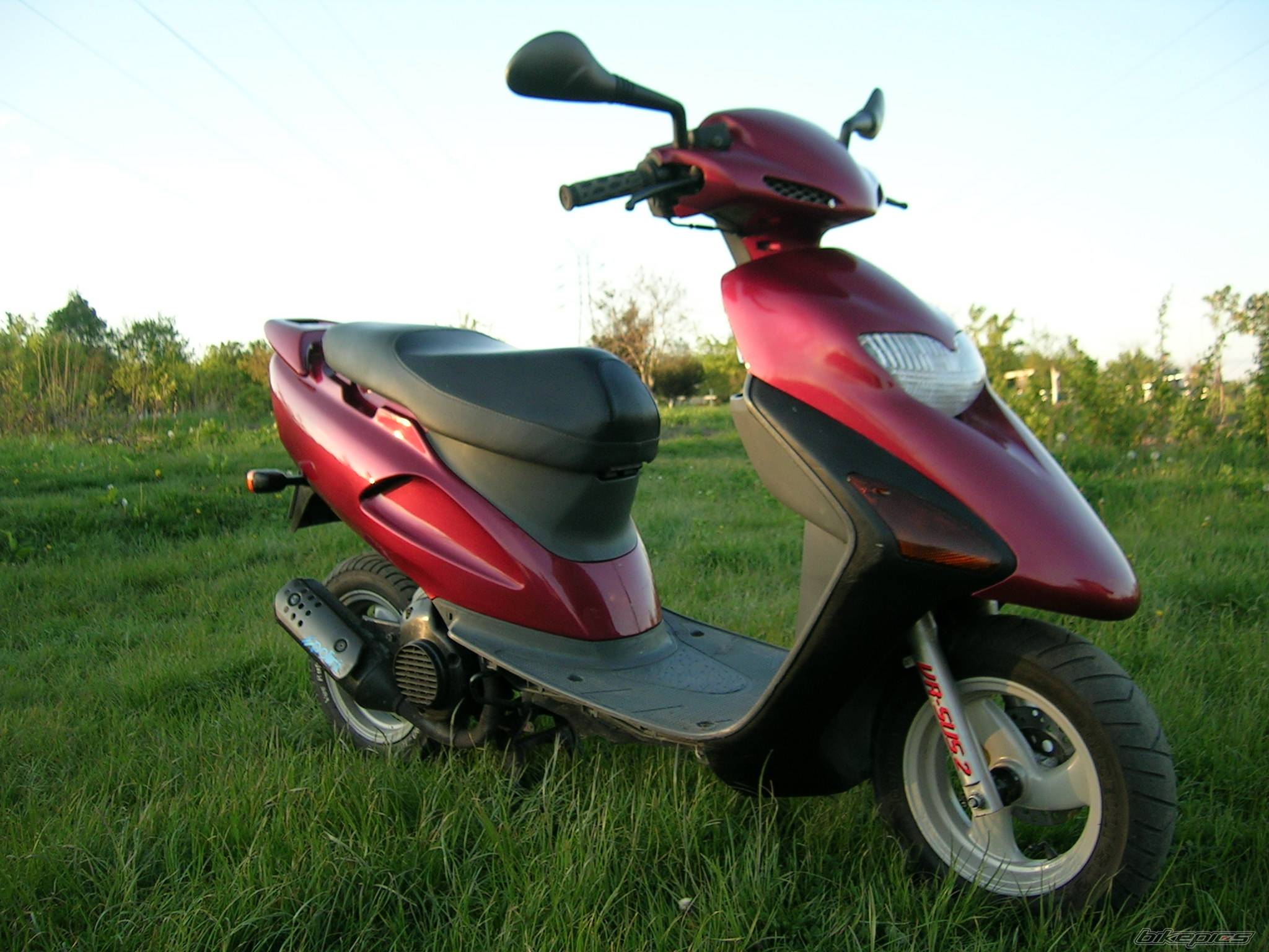 Photo 404263
