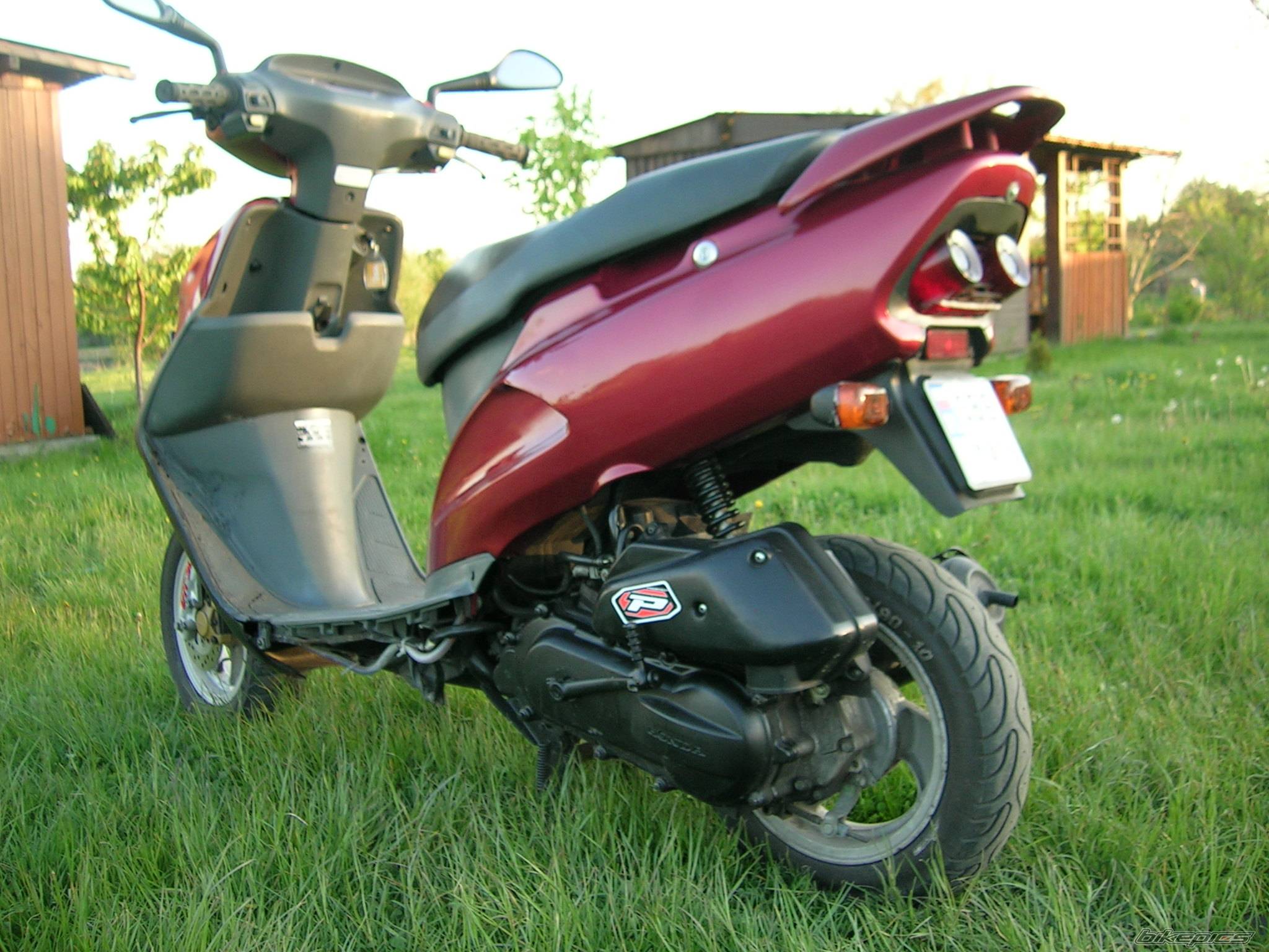 Photo 404264