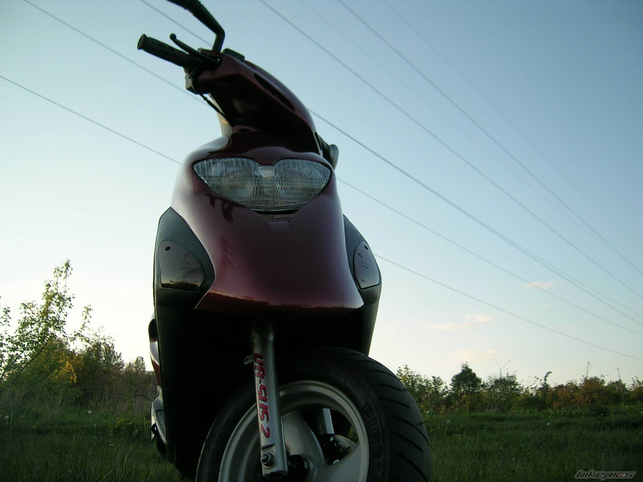 Photo 404276