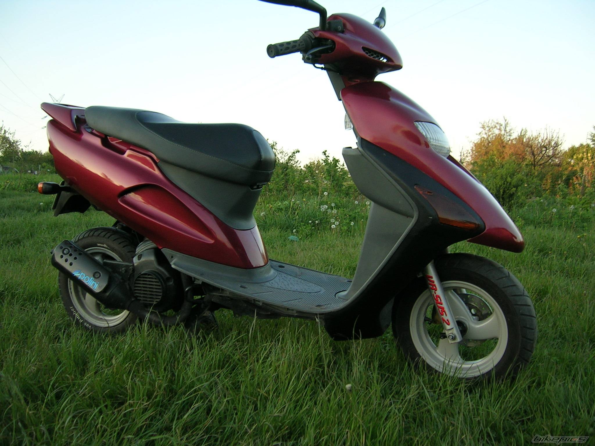 Photo 404283