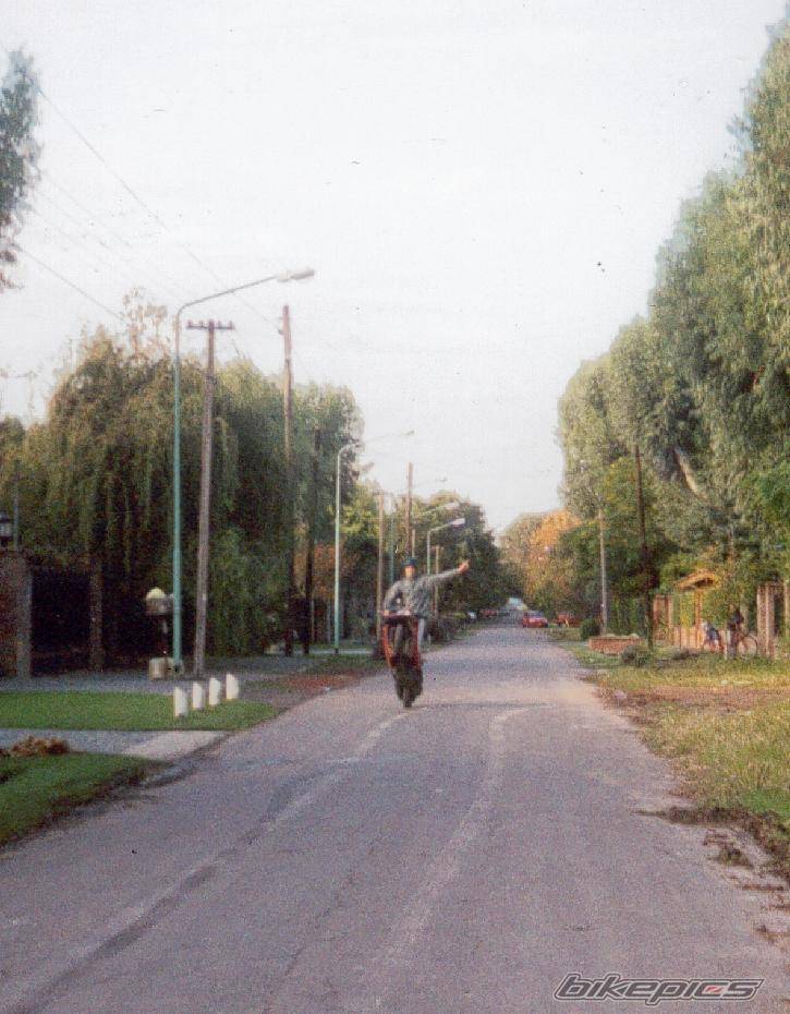 Photo 404323